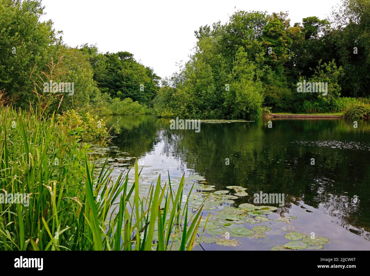 Una vista del río Wensum desde el sendero público a orillas del río con Wensum Park más allá en la ciudad de Norwich, Norfolk, Inglaterra, Reino Unido. Foto de stock