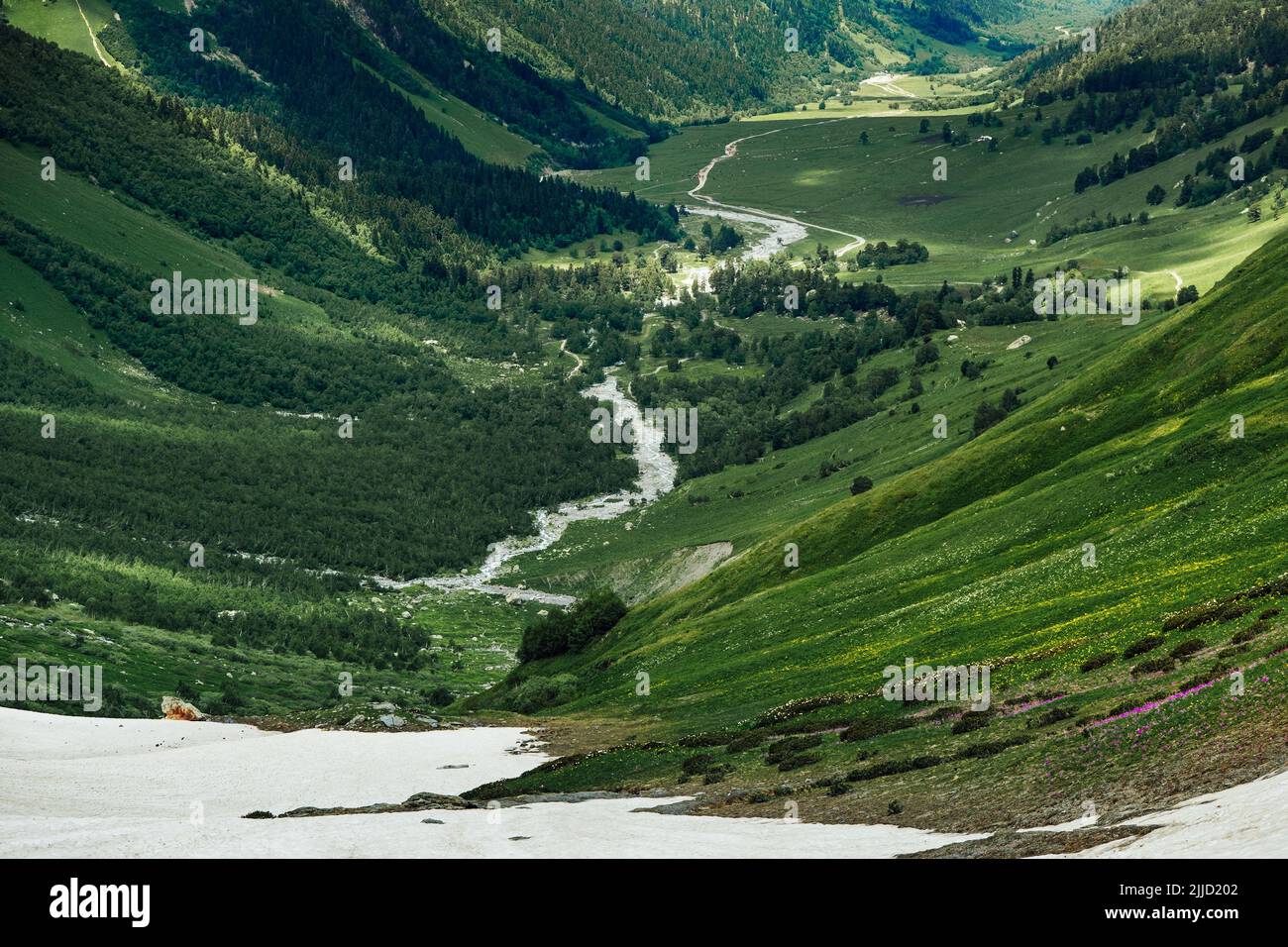 Valle de montaña con río en Arkhyz Foto de stock