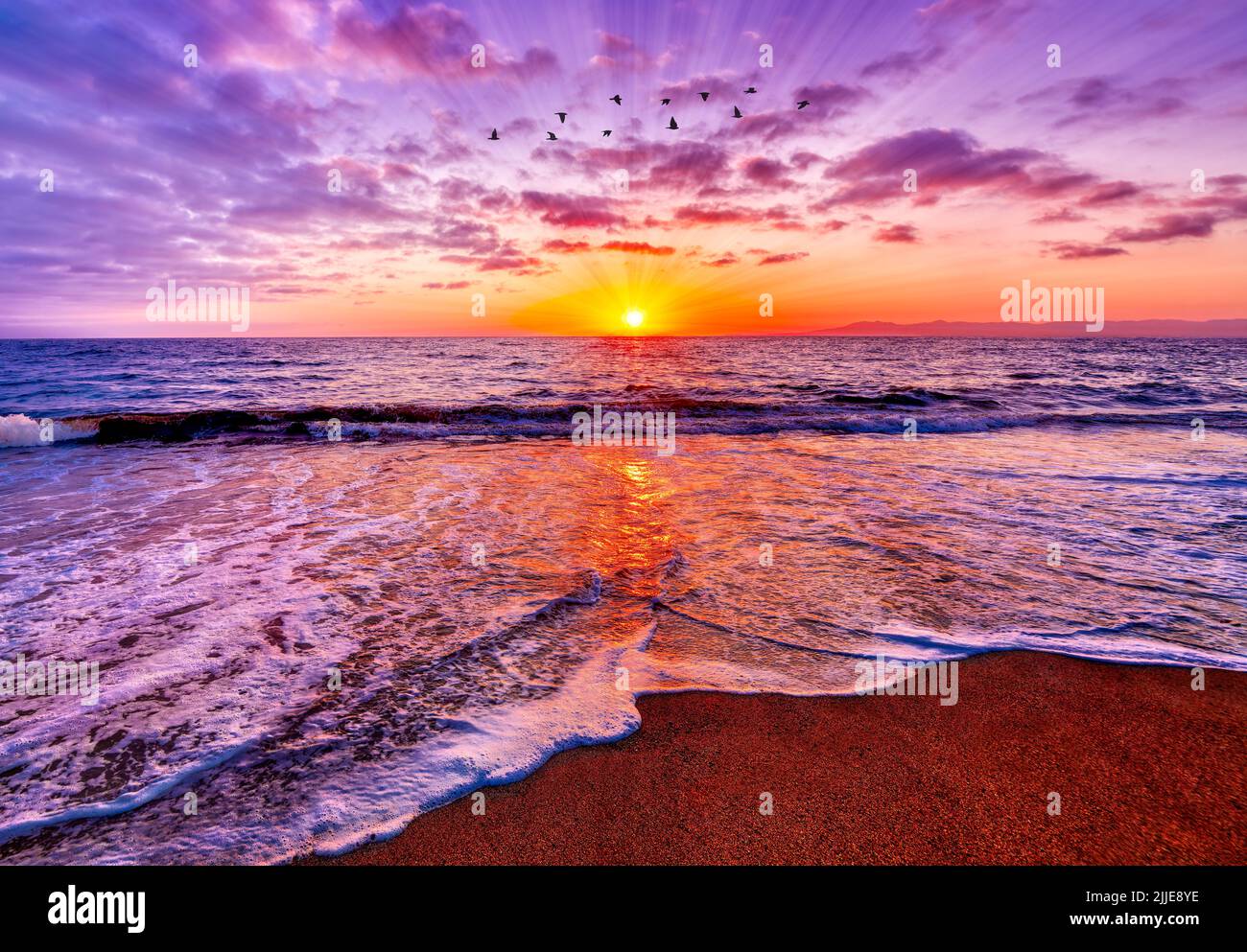 Los rayos del sol están reventando en el horizonte del océano con pájaros volando contra Un cielo de puesta de sol vívido y colorido Foto de stock