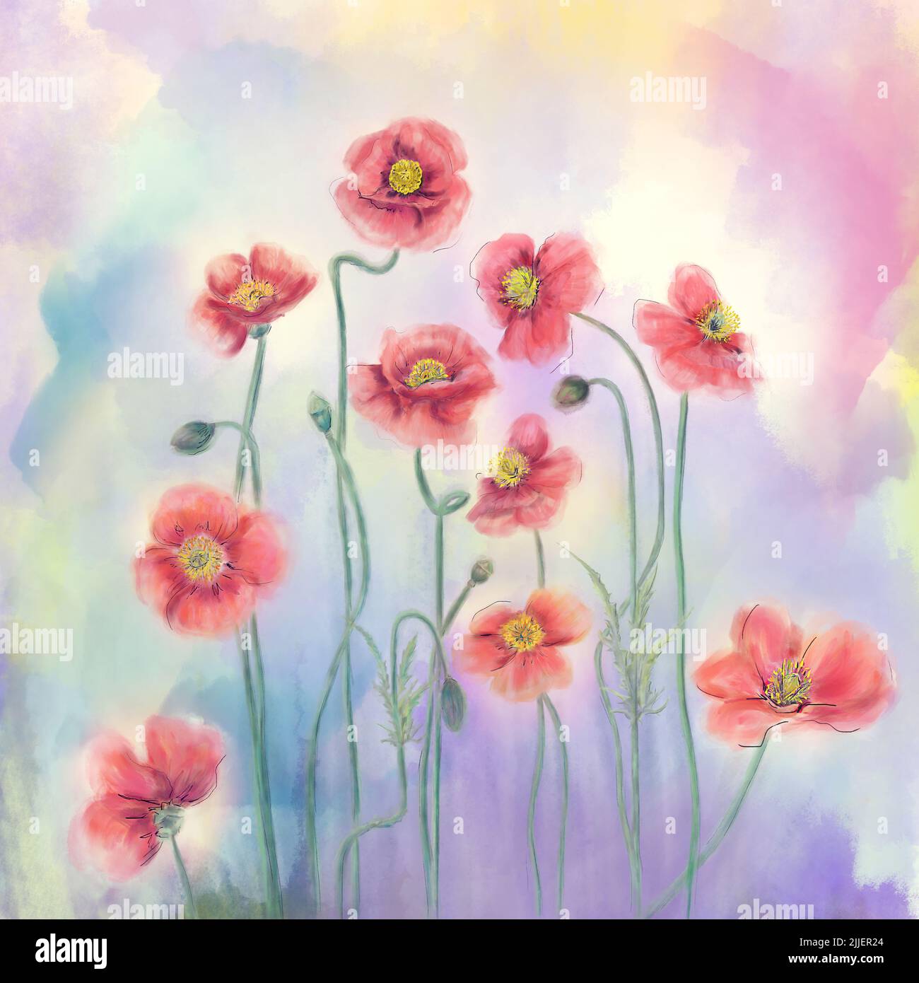 Pintura digital de acuarela de flores de amapola roja Foto de stock