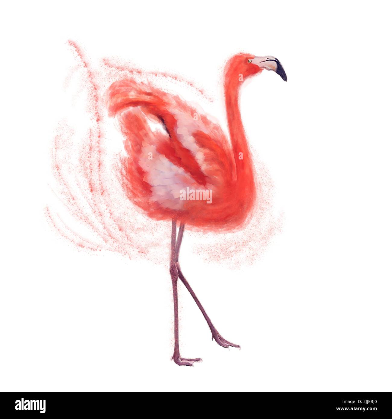 Acuarela Pintura Digital de Pájaro Flamingo Rosa sobre Fondo Blanco Foto de stock
