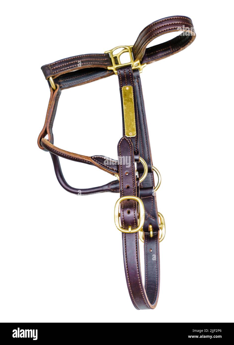 Imagen de primer plano de un burlete de cuero o halter de caballo aislado sobre fondo blanco Foto de stock