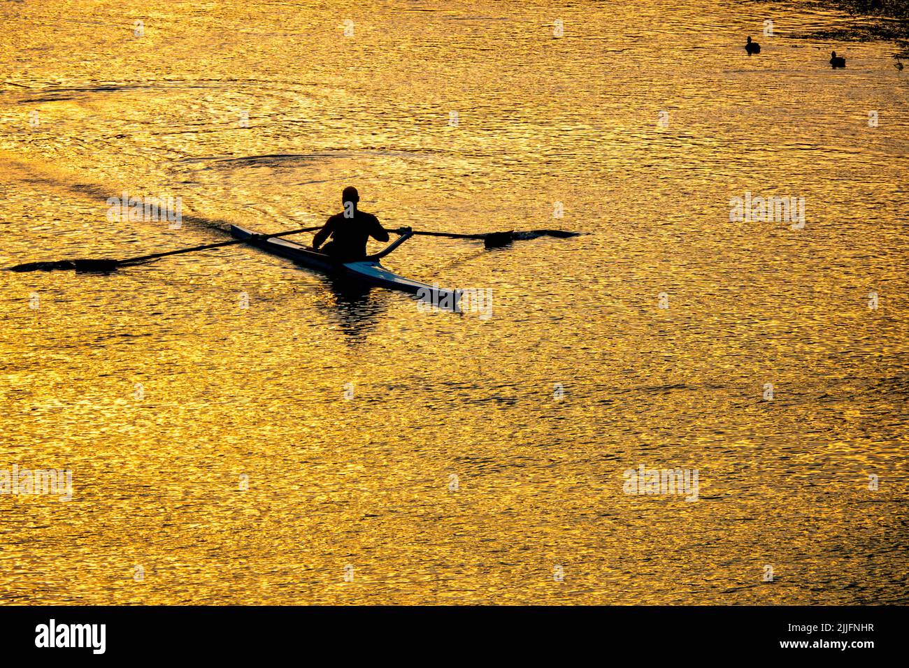 Deportista practicando piragüismo en el río Tíber al atardecer, Roma, Italia Foto de stock