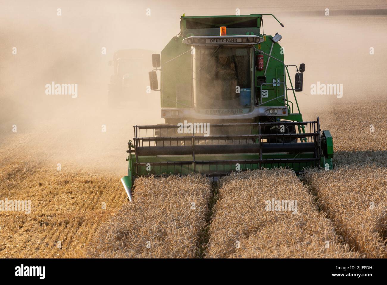 Cosecha de trigo en curso con cosechadoras. Puesta de sol iluminando el polvo levantado. Foto de stock