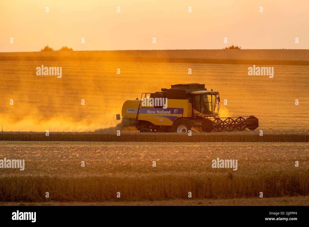 Cosecha de trigo en curso con cosechadoras. Puesta de sol iluminando el polvo levantado. Foto de stock
