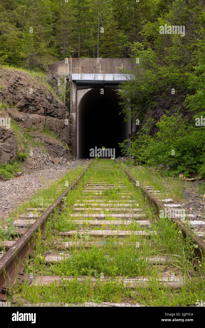 Túnel de ferrocarril abandonado en el bosque Foto de stock