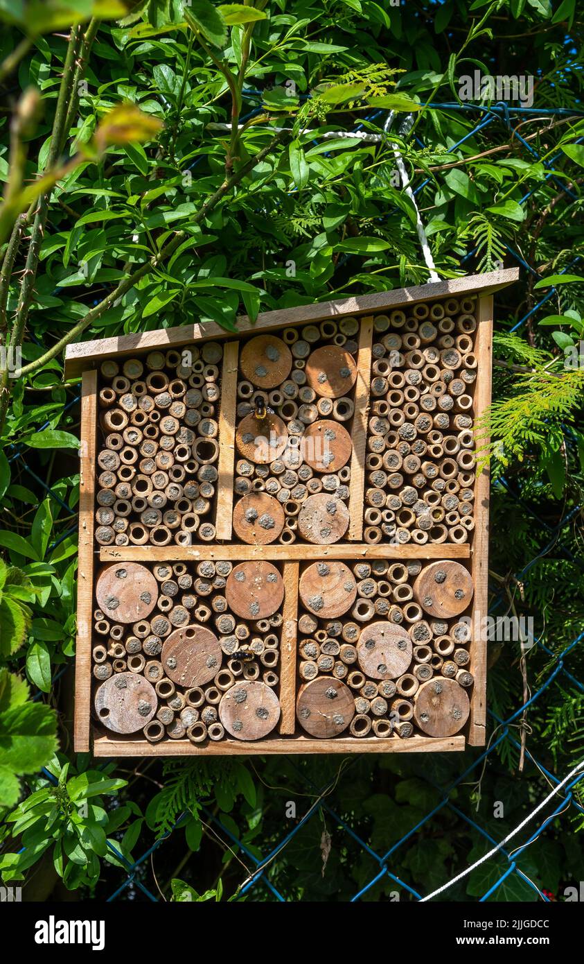 El hotel del insecto con muchos agujeros ocupados en jardín da la protección y ayuda de la anidación a las abejas y a otros insectos Foto de stock