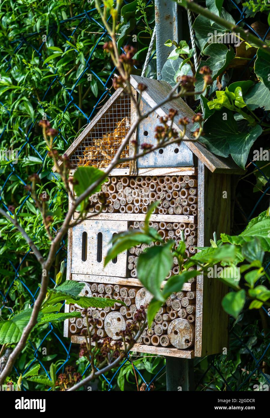 El hotel del insecto con muchos agujeros ocupados en jardín da la protección y ayuda de la anidación a las abejas y a otros insectos Foto de stock