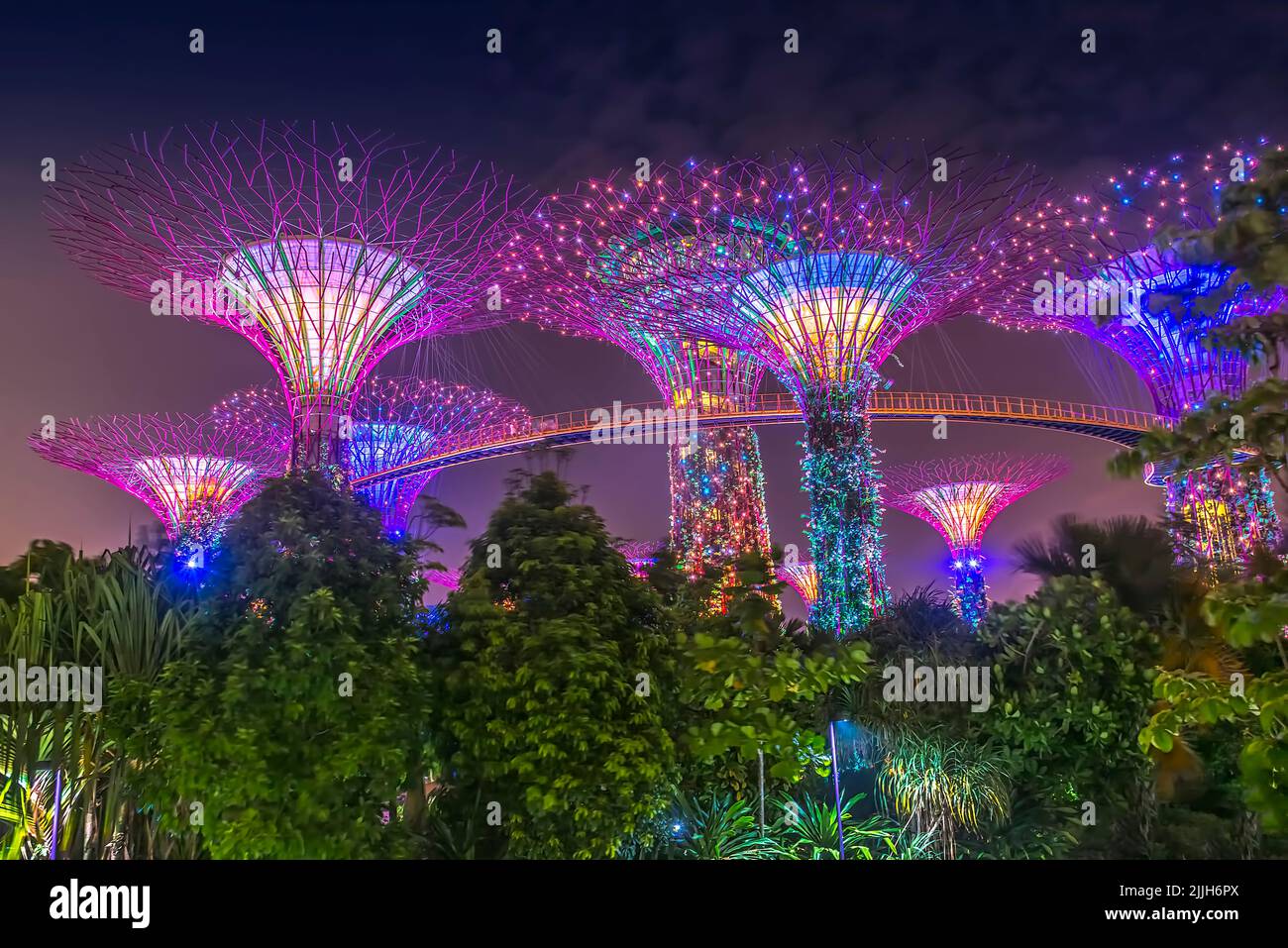 El Supertree Grove iluminado en Gardens by the Bay en Singapur por la noche Foto de stock