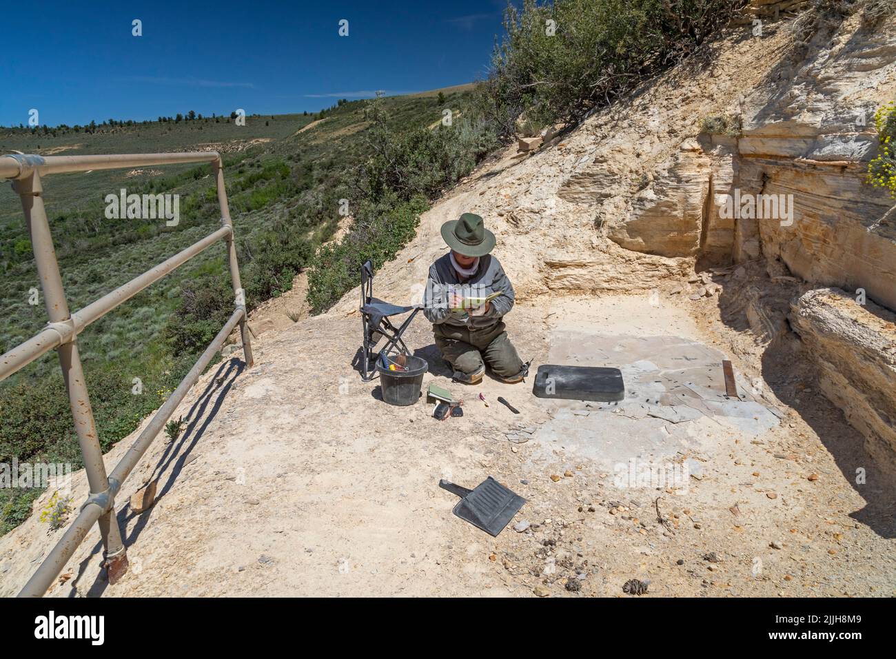 Kemmerer, Wyoming - Monumento Nacional Fossil Butte. Dawn Allen-Carlson, paleontólogo del Servicio de Parques, toma notas sobre lo que está encontrando en un pequeño Foto de stock