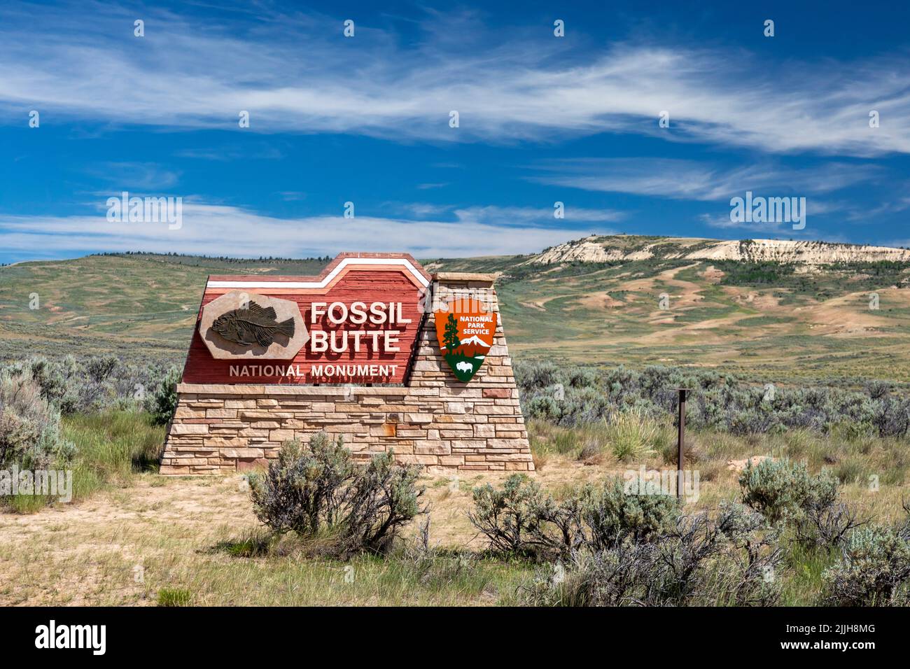 Kemmerer, Wyoming Monumento Nacional Fossil Butte. Un gran número de