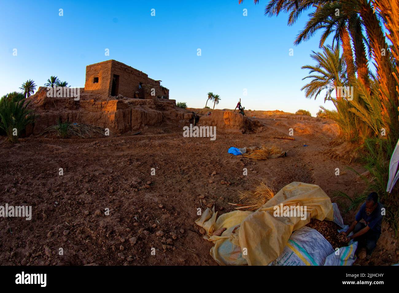 Casa tradicional en el desierto marroquí. Edificio de arcilla marrón roja de bereberes con palmeras a la derecha, cielo azul y tierra marrón naranja. Li Foto de stock