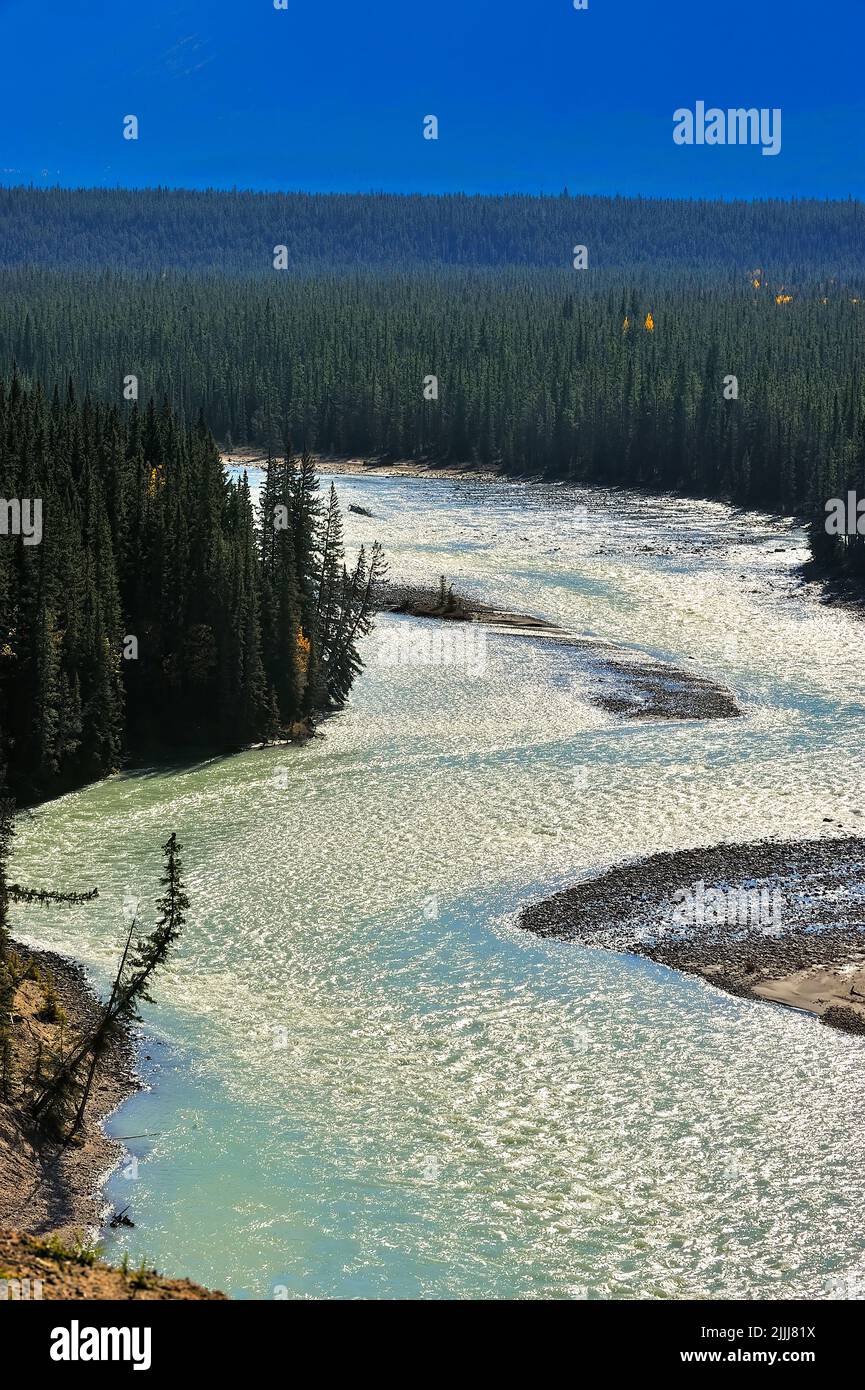 Una imagen vertical del río Athabasca que fluye rápidamente en el Parque Nacional Jasper, Alberta, Canadá. Foto de stock