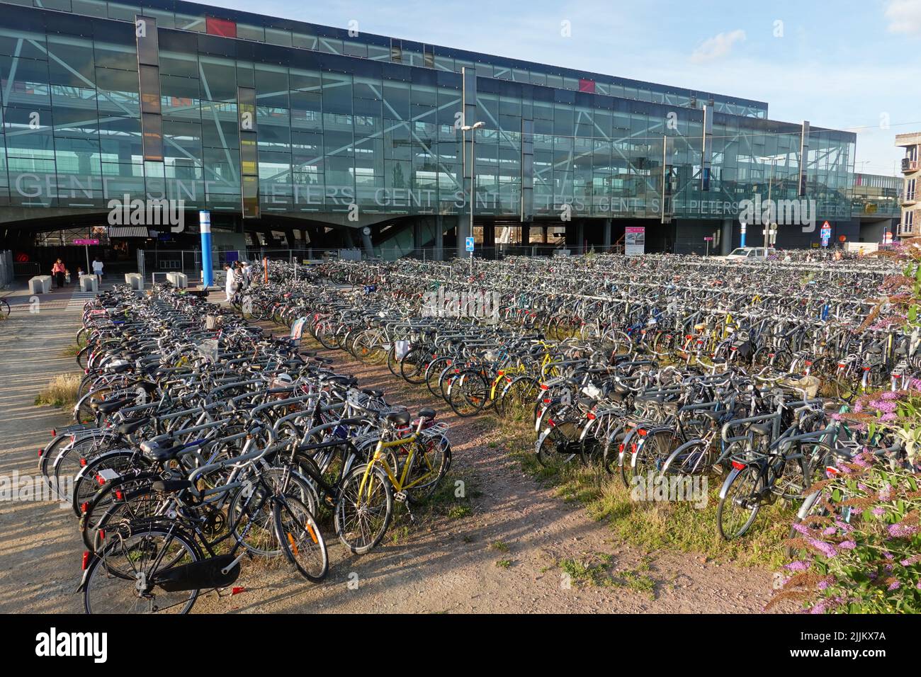 Gante, Fahrradparkplatz am Bahnhof St-Pieters // Gante, aparcamiento de bicicletas en la estación de tren de St-Pieters Foto de stock
