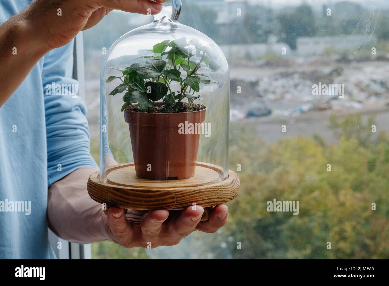 conservación del medio ambiente mantener la planta cúpula de vidrio Foto de stock