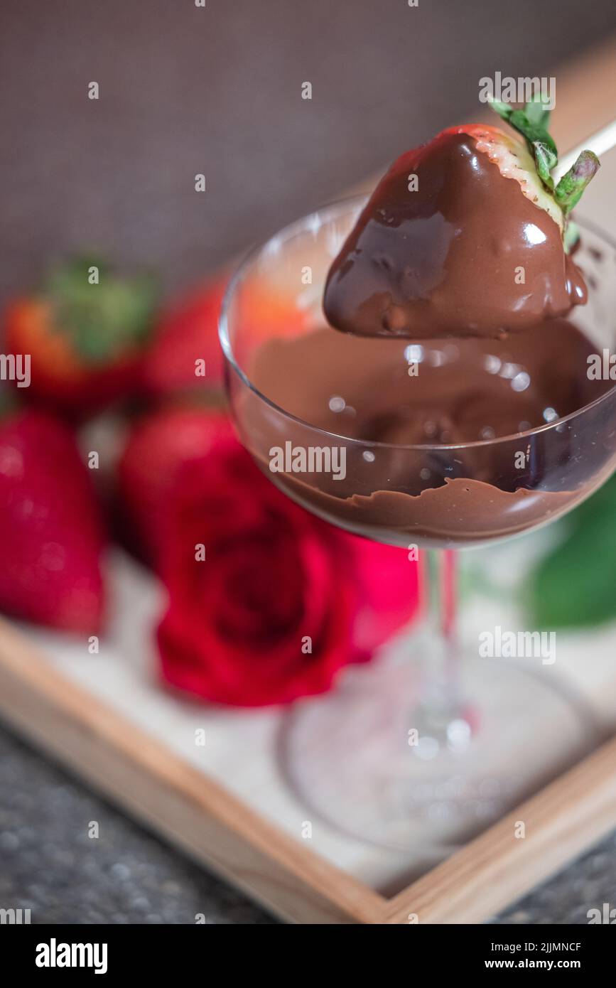 primer plano de una fresa recién sumergida en chocolate oscuro con una rosa roja como concepto de amor Foto de stock