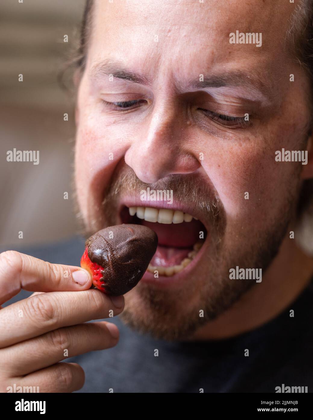 Hombre comiendo un chocolate cubierto de fresa primer plano retrato Foto de stock
