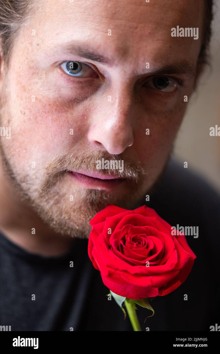 primer plano de un hombre con una rosa roja como concepto romántico Foto de stock