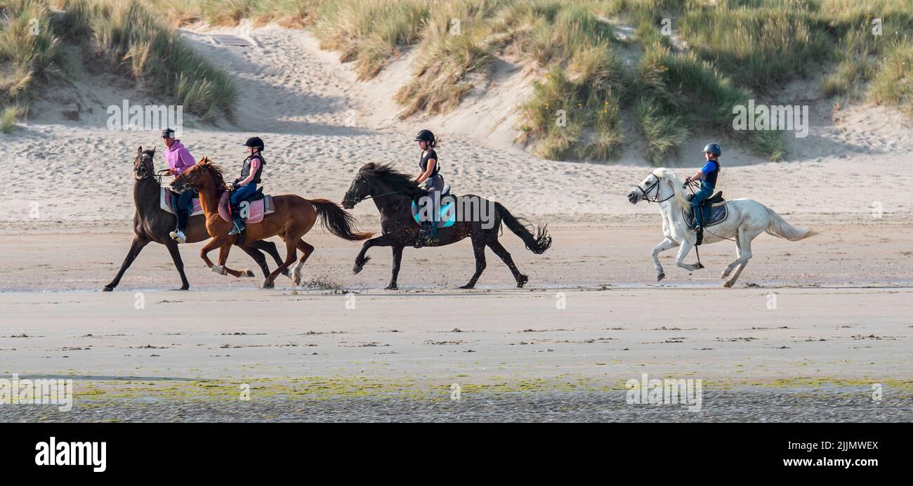 Niño montando a caballo seguido por tres chicas jóvenes en galopando a caballo en la playa a lo largo de la costa del Mar del Norte en verano Foto de stock