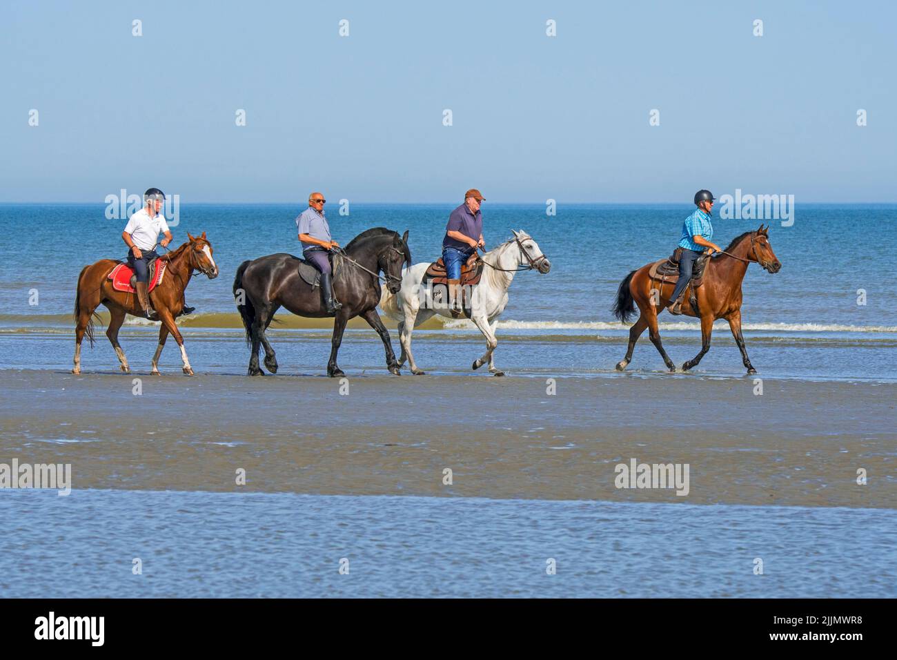 Cuatro jinetes mayores / ancianos / jinetes a caballo a caballo en la playa de arena a lo largo de la costa del Mar del Norte en verano Foto de stock