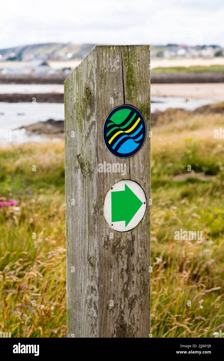 Una marca de referencia y una flecha de dirección para el sendero costero de Fife en Elie, en el East Neuk de Fife, Escocia. Foto de stock