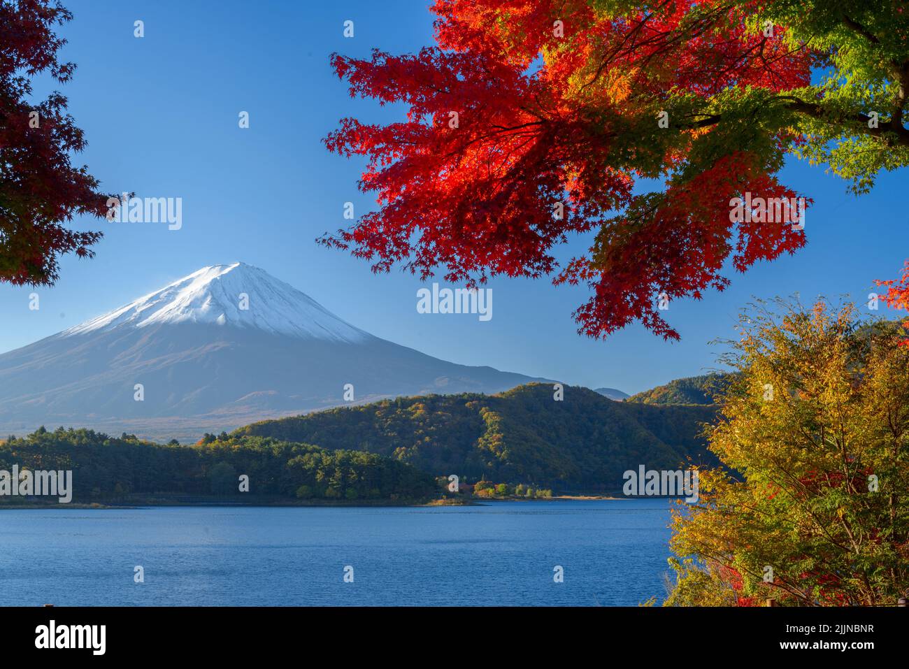 Mt. Fuji, Japón desde el Lago Kawaguchi en la temporada de otoño. Foto de stock