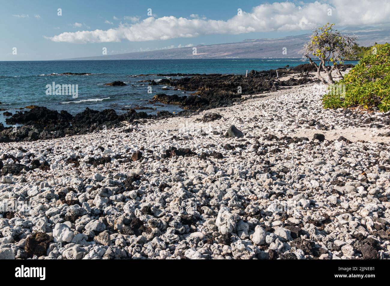 Rocas de lava negra y coral blanco en la playa Hololokai, parque de la playa Hololokai, isla de Hawai, Hawai, EE.UU Foto de stock