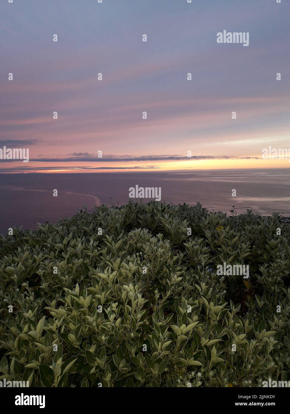 Una imagen vertical del horizonte sobre el mar contra los árboles al atardecer en Macduff Foto de stock