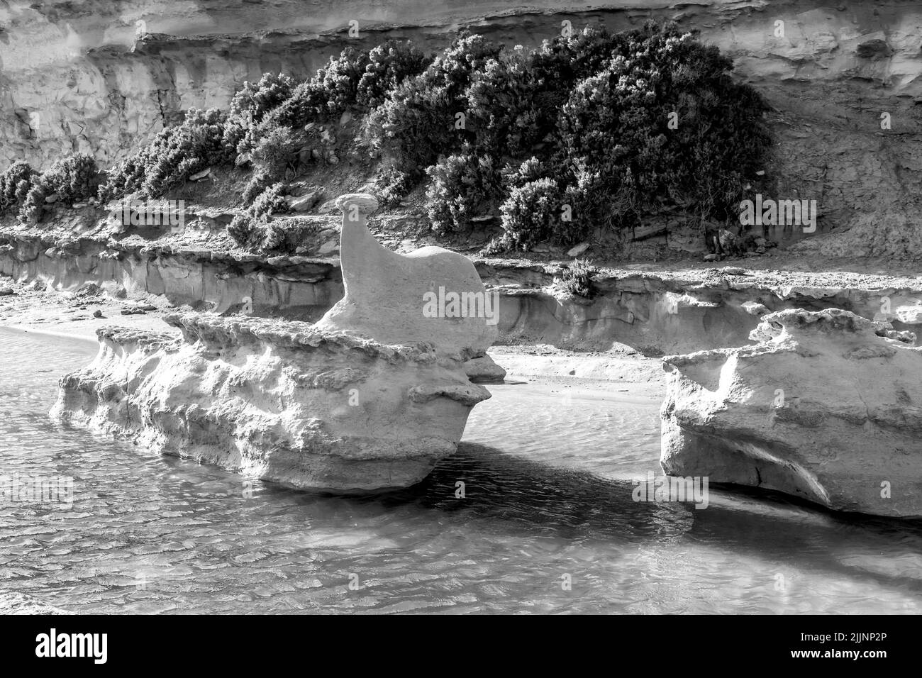 Plano blanco y negro de una gran roca de piedra caliza en un charco de agua sobre una plataforma de corte de roca, erosionada en forma de ballena. Malta, Islas Maltesas Foto de stock