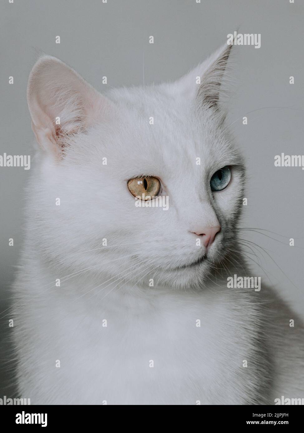 Khao manee fotografías e imágenes de alta resolución - Alamy