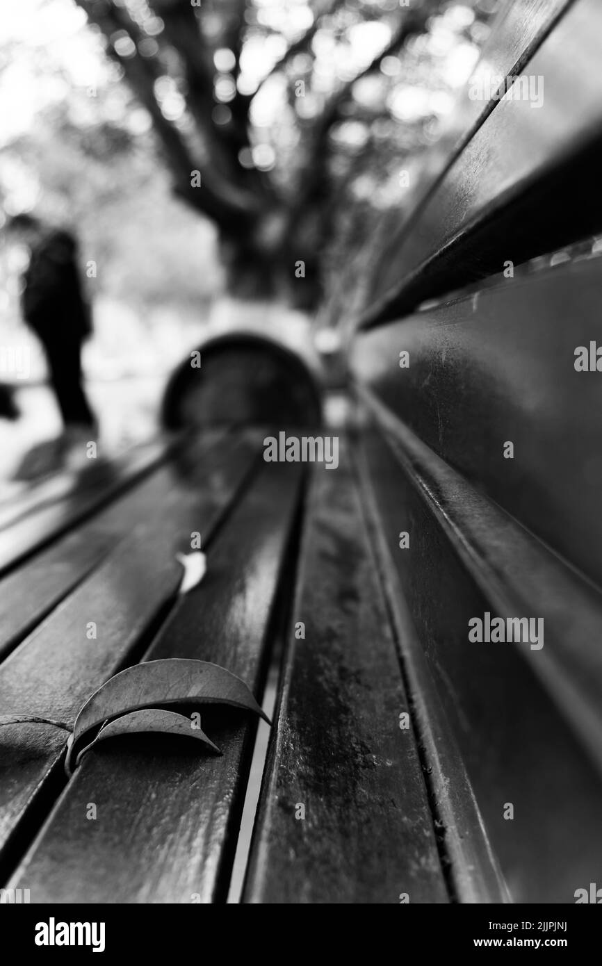 Plano Vertical De Un Escritorio De Madera En El Parque En Blanco Y Negro Fotografía De Stock Alamy 9481