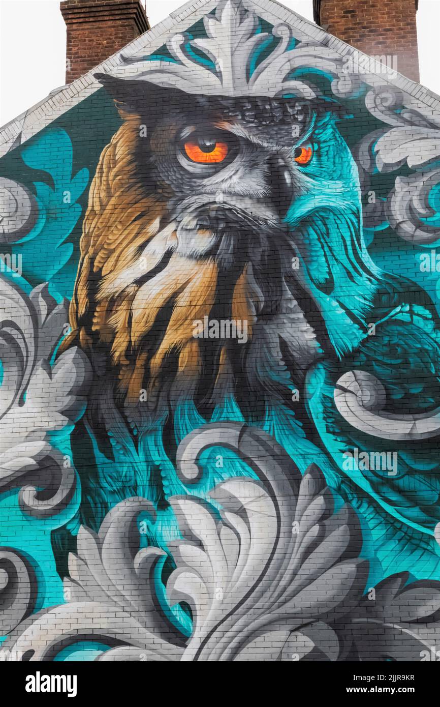 Inglaterra, Dorset, Bournemouth, Boscombe, Street Art titulado 'Owl' por el artista Tech Moon Foto de stock
