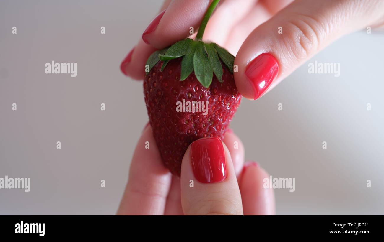 Manos de mujer con manicura roja brillante sosteniendo fresa madura jugosa Foto de stock
