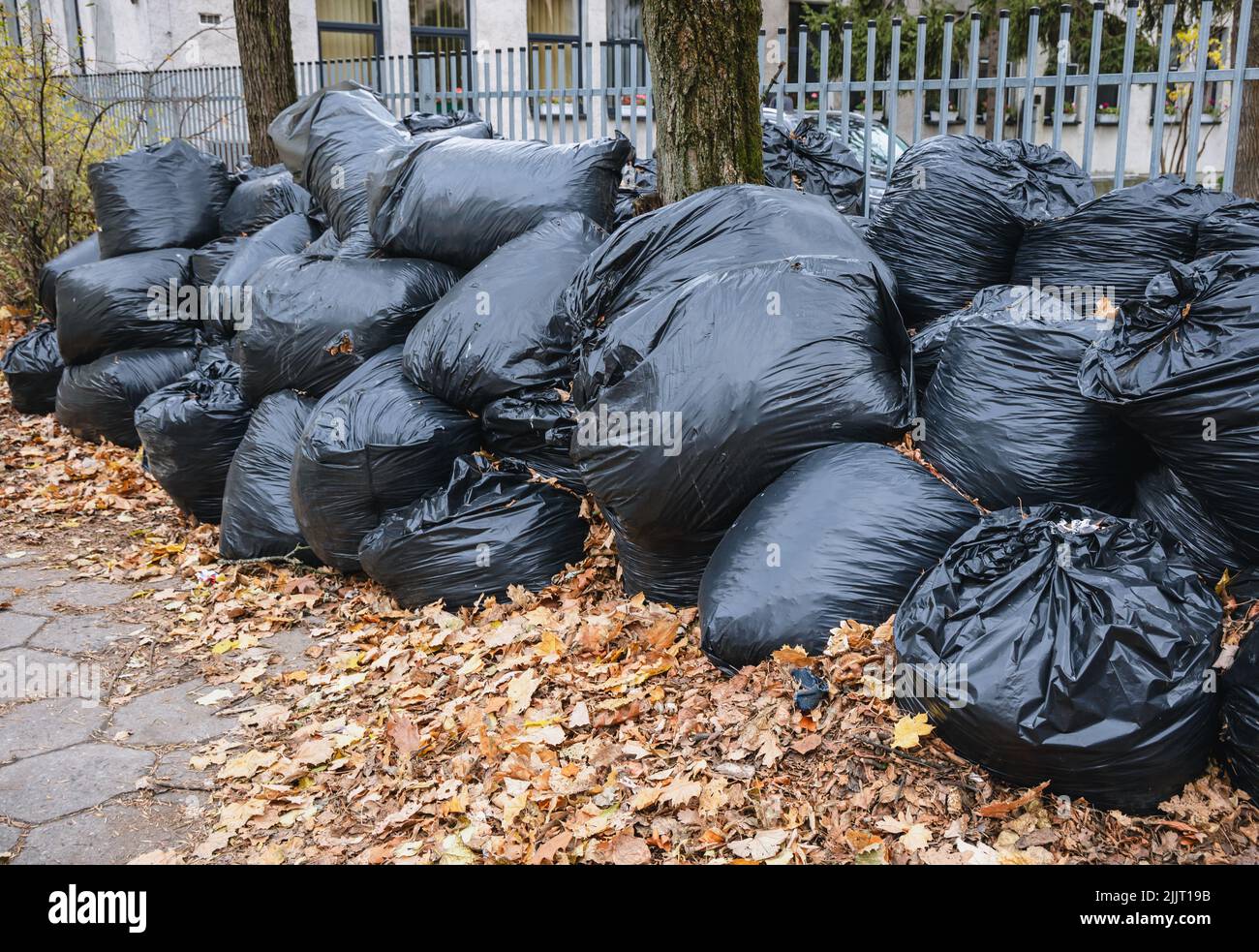 El otoño sale en la bolsa de basura de Varsovia, capital de Polonia  Fotografía de stock - Alamy