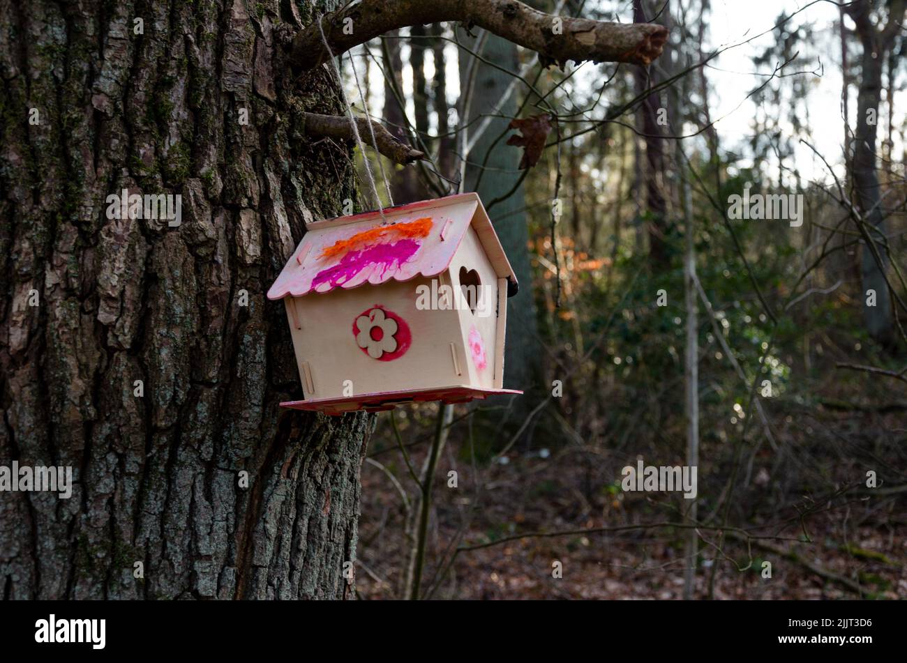 Un primer plano de una casa de pájaros pintada de color blanco con un agujero en forma de corazón y un patrón floral en el bosque Foto de stock