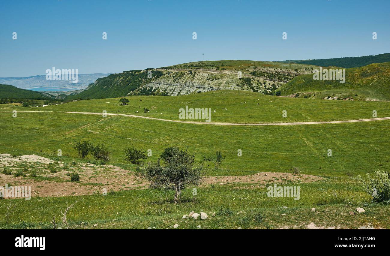 Vista panorámica de verdes prados gran formación de montaña en el fondo. Daguestán, Rusia Foto de stock
