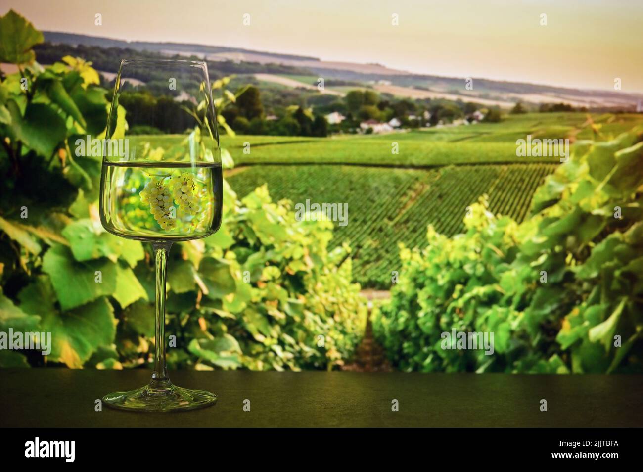 Primer plano Uvas blancas y copa de vino con fondo de viñedo Foto de stock