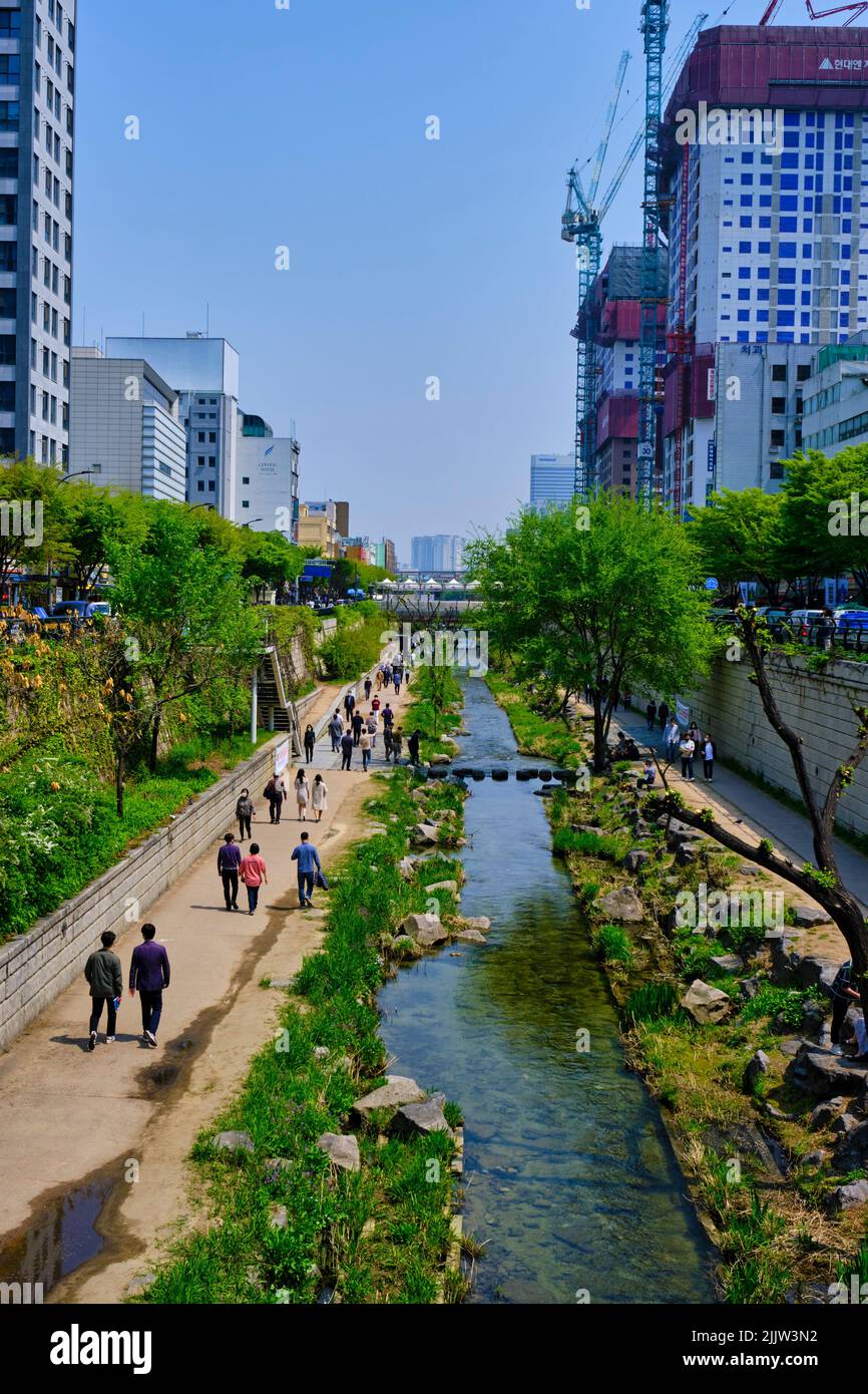 Corea del Sur, Seúl, Cheonggyecheon, paseo de 6 kilómetros de largo inaugurado en 2005 que discurre a lo largo del río Cheonggyecheon Foto de stock