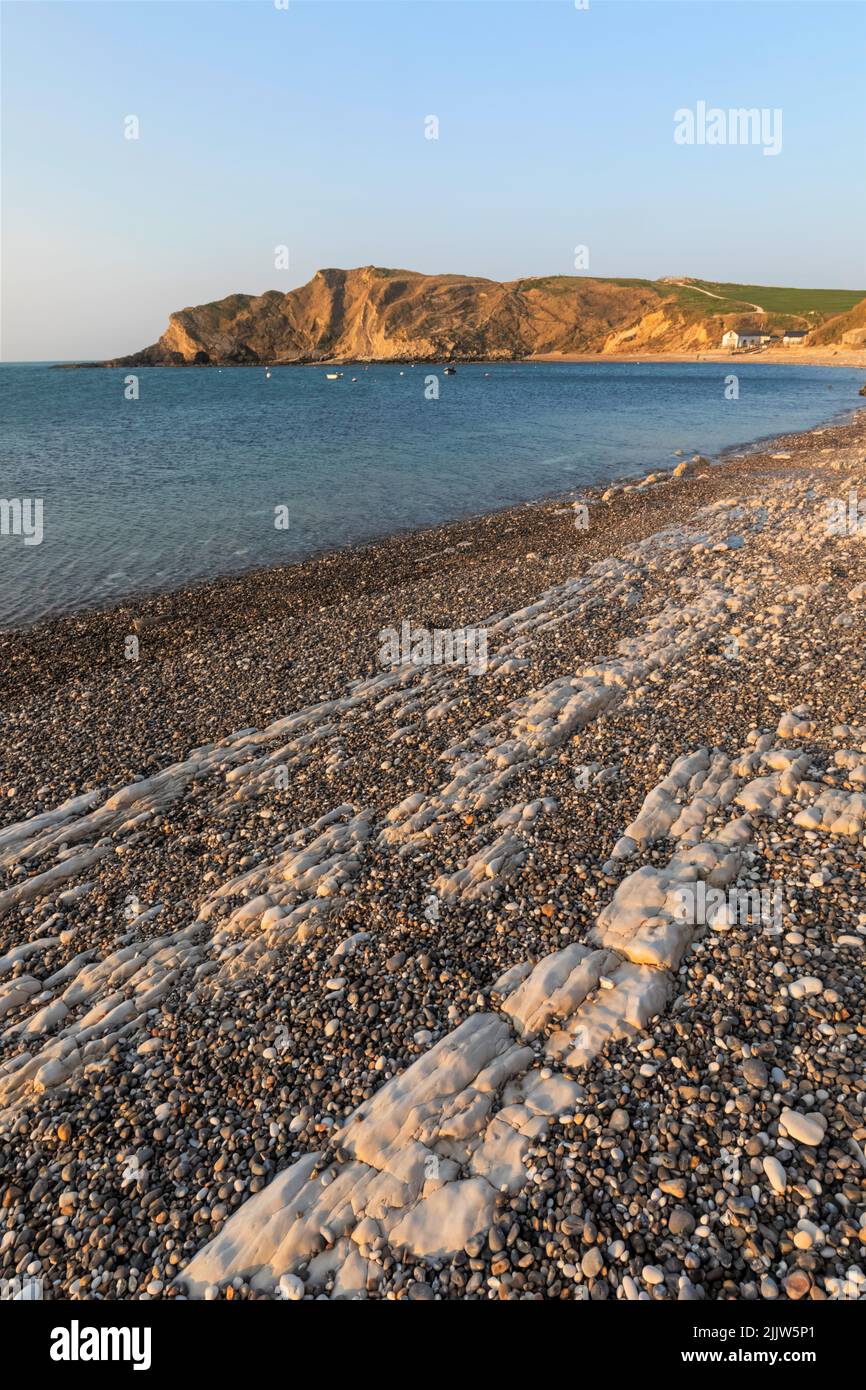 Inglaterra, Dorset, Lulworth Cove, acantilados y playa Foto de stock