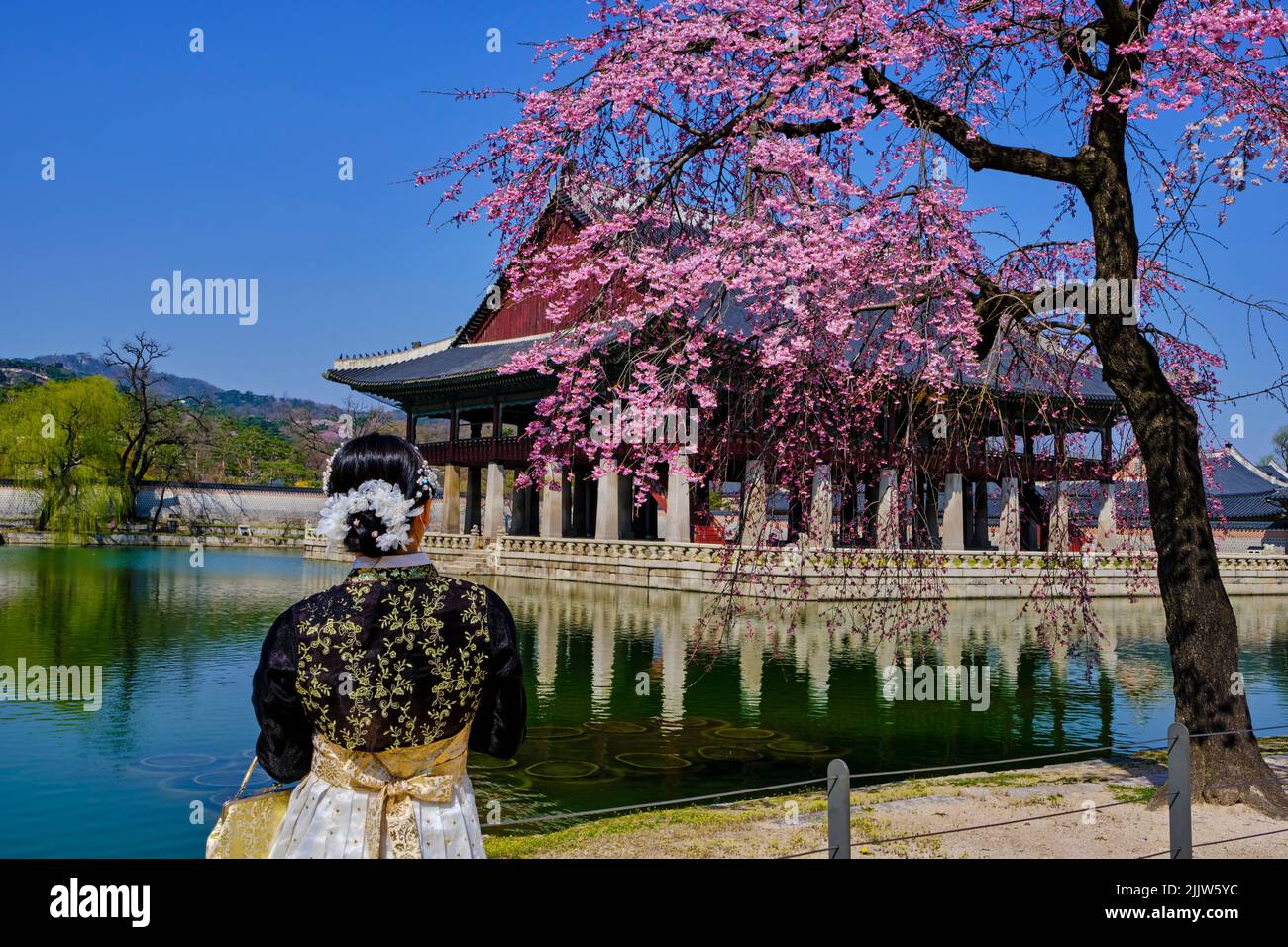 Corea del Sur, Seúl, distrito de Jongno-gu, Palacio Gyeongbokgung o Palacio Gyeongbok que significa Palacio de la resplandeciente felicidad, los turistas en los lugares tradicionales Foto de stock