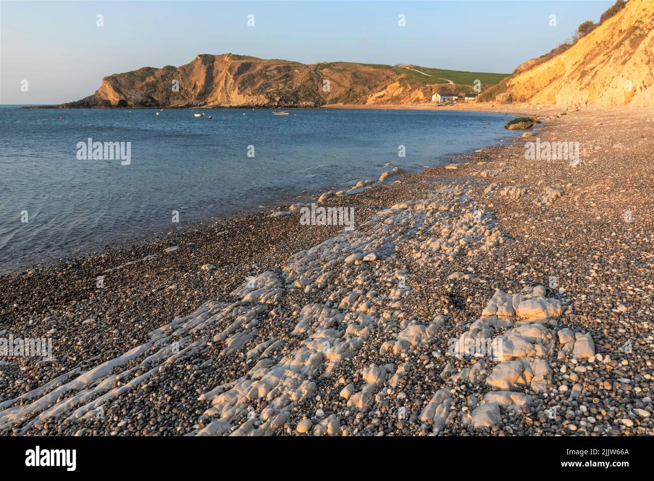 Inglaterra, Dorset, Lulworth Cove, acantilados y playa Foto de stock