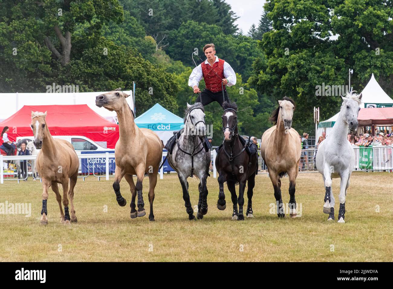 New Forest y Hampshire County Show en julio de 2022, Inglaterra, Reino Unido. Ben Atkinson, de Atkinson Action Horses roman cabalgando con un equipo de caballos Foto de stock