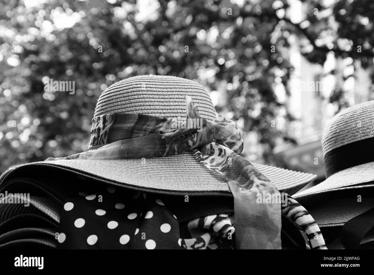 Sombrero de mujer paja natural - Modesto Hats