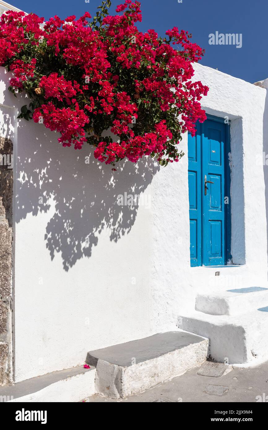 Tradición griego puerta azul, edificio blanco con flores rojas contra un cielo azul, Megalochori pueblo, Santorini, islas Cícladas, Grecia, Europa Foto de stock