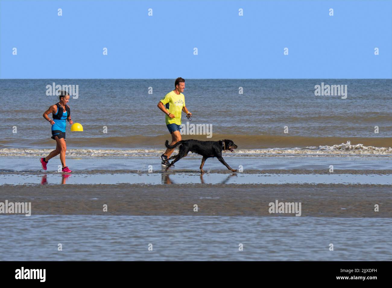 Hombre y mujer correr en la playa de arena con perro soltado / fuera de plomo a lo largo de la costa del Mar del Norte en verano Foto de stock