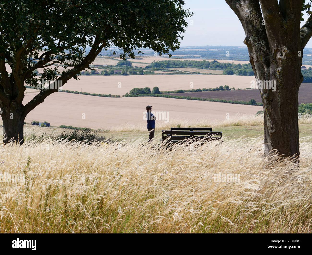 Vista del campo de Whipsnade cerca de Dunstable en Bedfordshire, Inglaterra. Caballero en silueta admira el paisaje Foto de stock