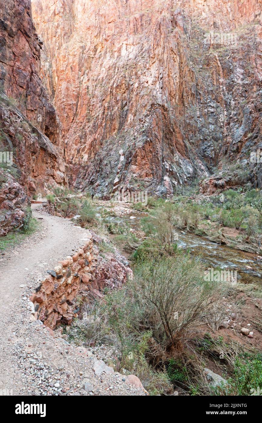 La ruta North Kaibab Trail y Bright Angel Creek en el Parque Nacional del Gran Cañón Foto de stock