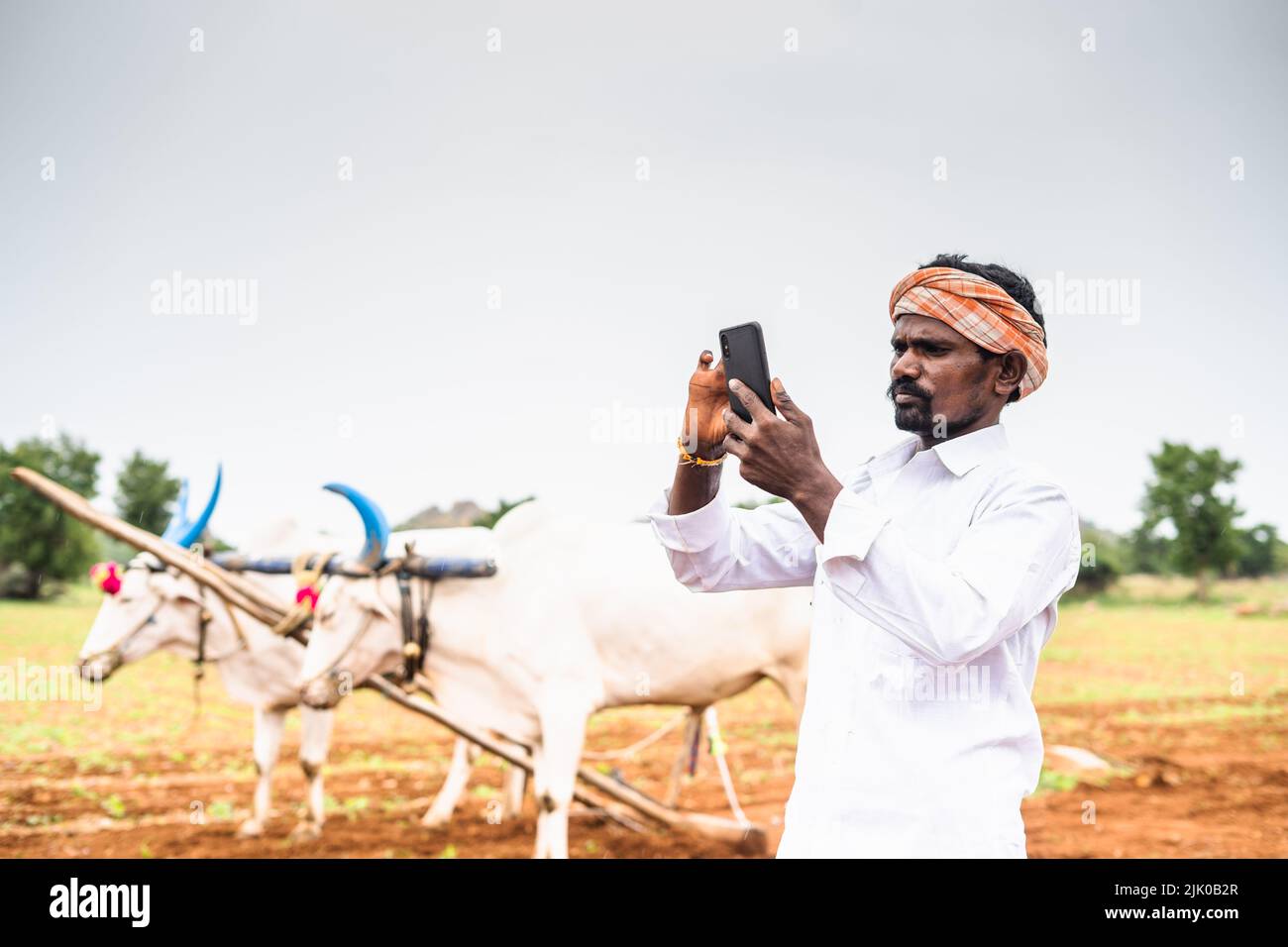 Feliz agricultor sonriente utilizando el teléfono móvil en las tierras de labranza frente la agricultura ganado - concepto de la tecnología, la agricultura y el desarrollo Foto de stock