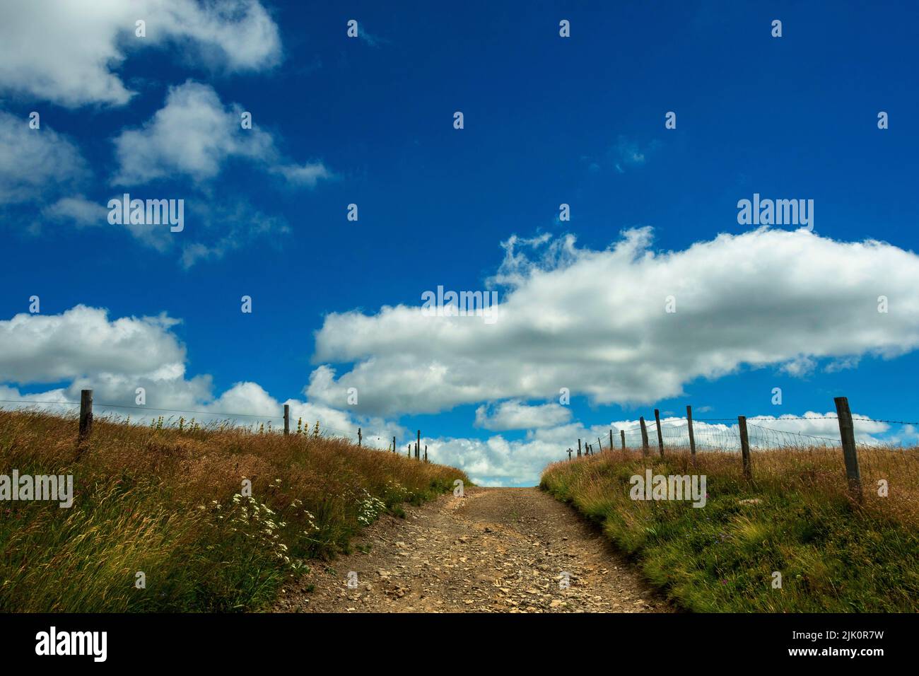 Paisaje de un camino que se extiende a través de los campos bajo el cielo azul con las nubes esponjosas. Auvernia Francia Foto de stock