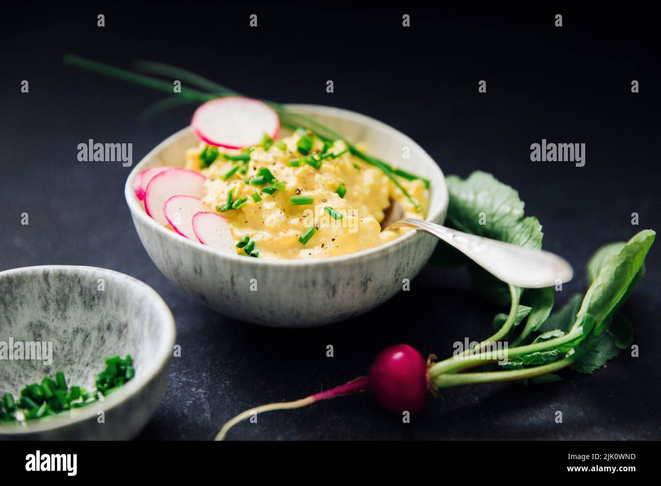 Ensalada de huevo adornada con rábanos y cebolletas Foto de stock